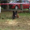 foire-haricots 2011-09-17et18